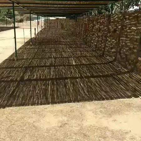 Free בית נופש *