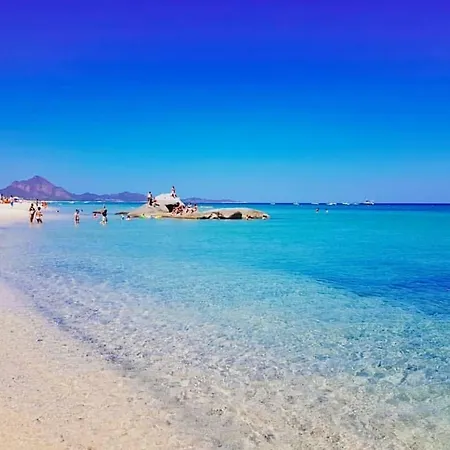 Free * מונטה נאי